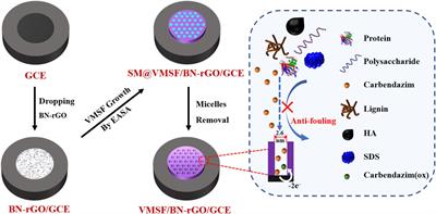 Vertically-Ordered Mesoporous Silica Films Grown on Boron Nitride-Graphene Composite Modified Electrodes for Rapid and Sensitive Detection of Carbendazim in Real Samples